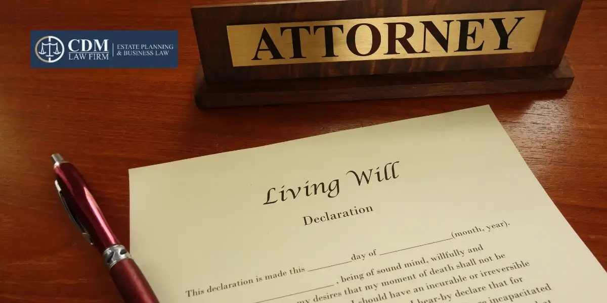 Chandler Wills Lawyer